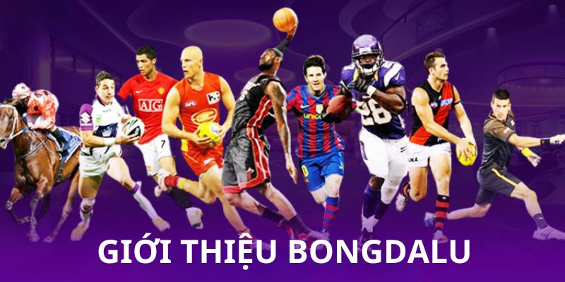 Thông tin chung về BONGDALU