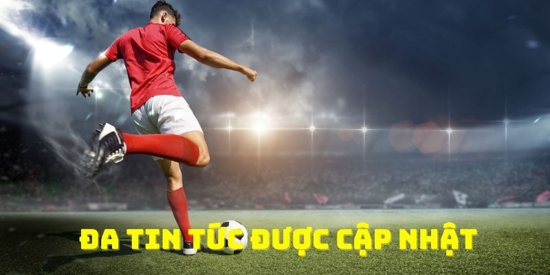 Đa thông tin được cập nhật dành cho người tham gia tại hệ thống